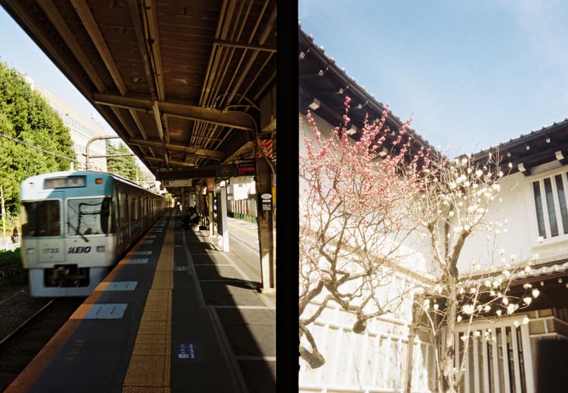 Original half-frame scan showing two merged images